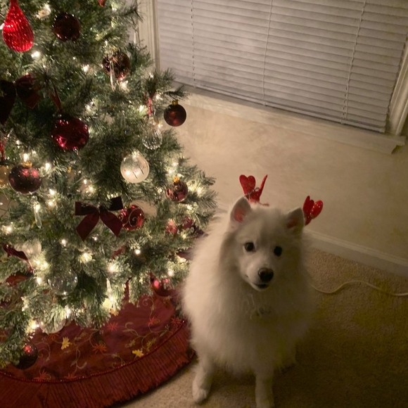 Meet your Posher, Marie - Picture 1 of 1